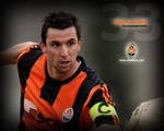 На официальном сайте Шахтёра болельщики