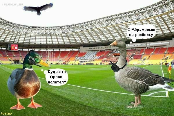 Светочи Светочи
