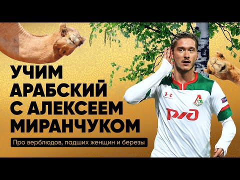 Лидер Локомотива соревнуется с Анной Гал